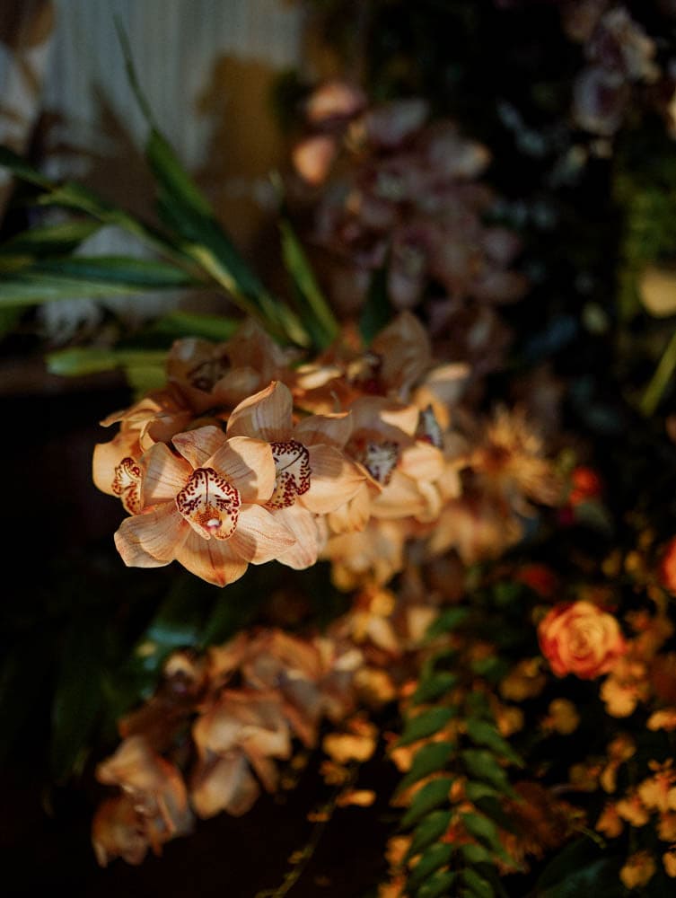 Close-up of light brown moth orchids used in tropical wedding theme.