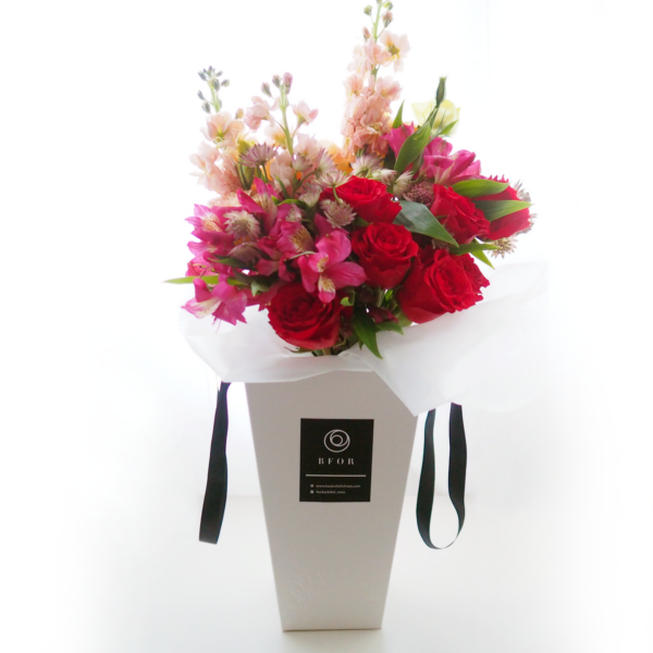 Handcarry Bucket - Bold