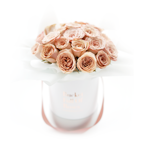 Classic Roses Bucket - Cappucino