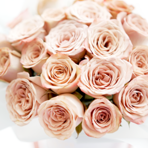 Classic Roses Bucket - Cappucino - Image 3