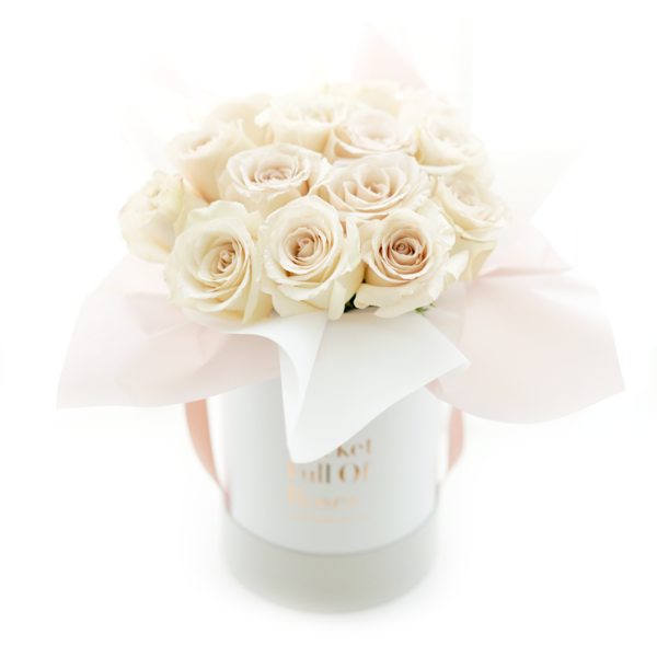 Classic Roses Bucket - Quicksand