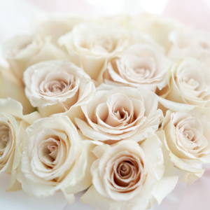 Classic Roses Bucket - Quicksand - Image 2