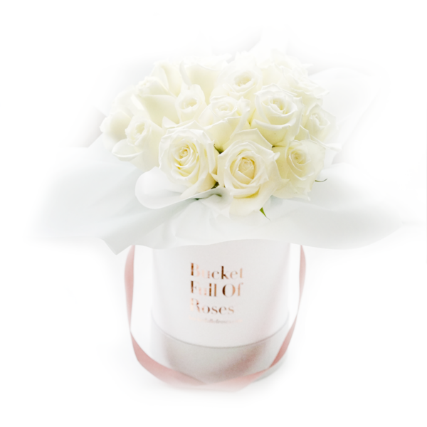 Classic Roses Bucket - White