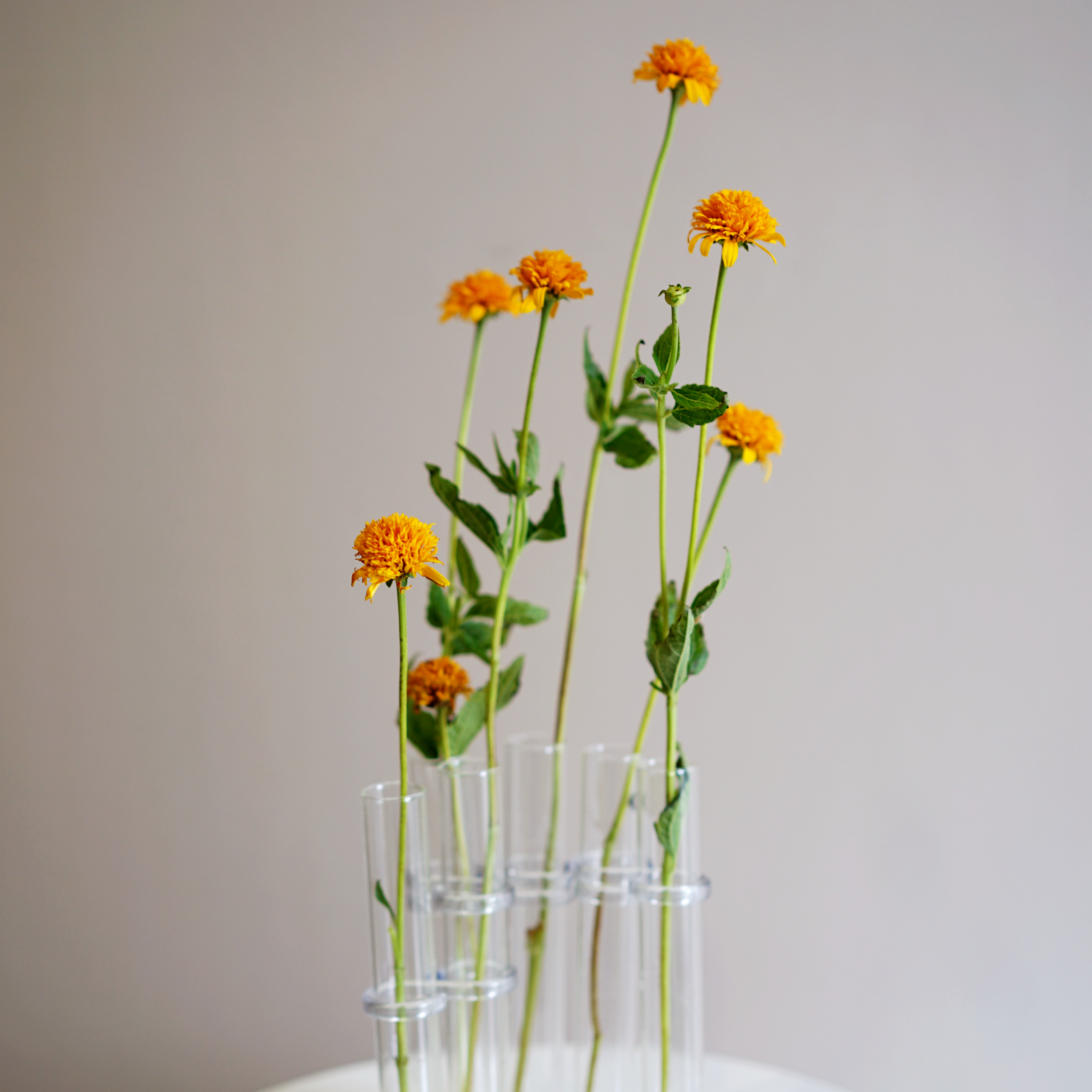 Configurable Glass Tube Vase