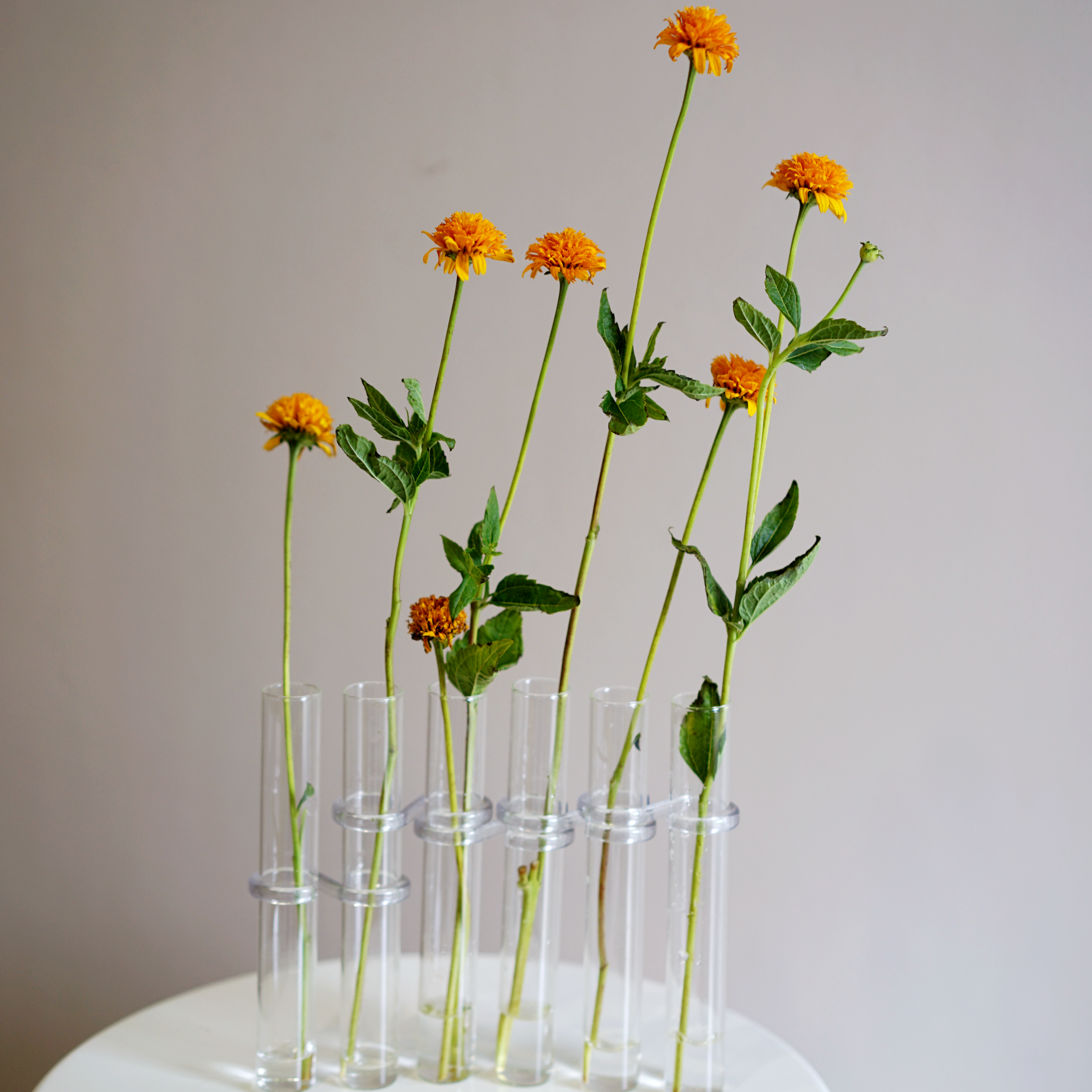 Configurable Glass Tube Vase - Image 3