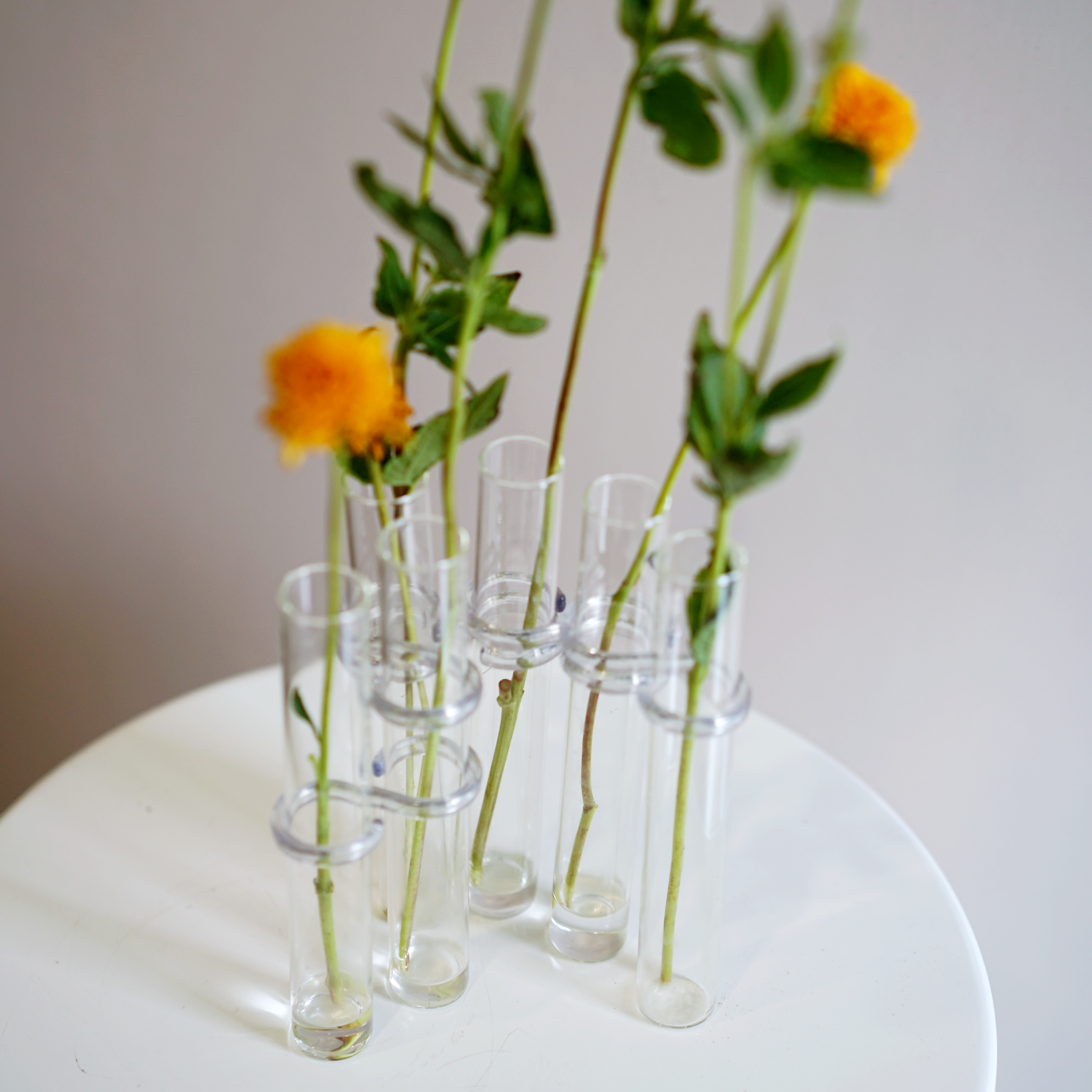 Configurable Glass Tube Vase - Image 4