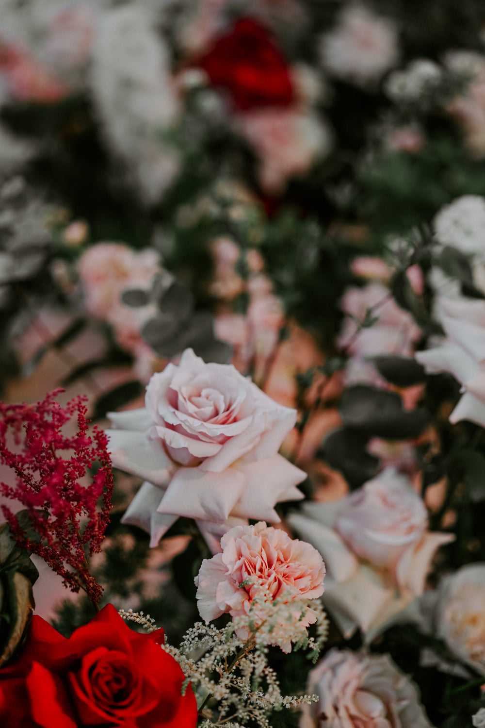 Close up of dusty pink rose for floral decor ideas at church wedding singapore covid