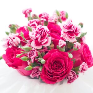 Fuchsia Mummy Bucket - Image 2