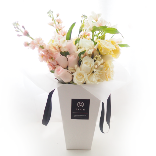 Handcarry Bucket - Gentle