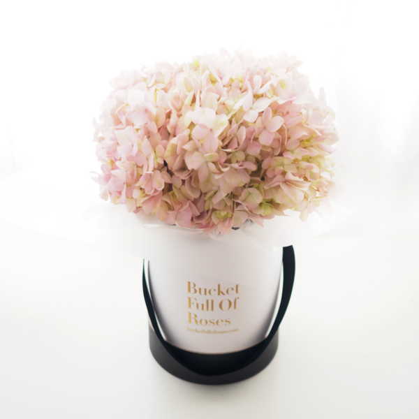 Hydrangea Bucket - Pink