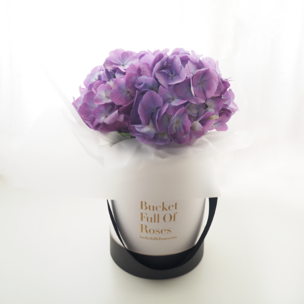 Hydrangea Bucket - Purple