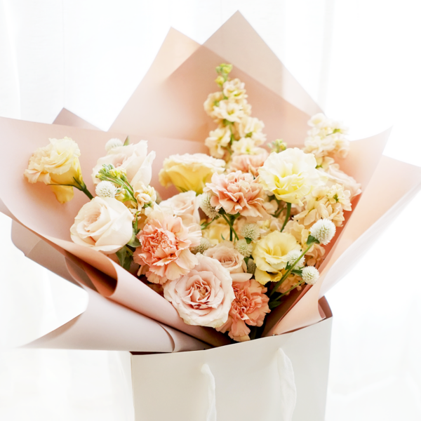 Pastel Romance