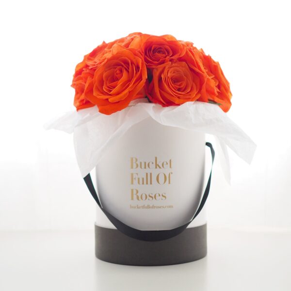 Orange rose floral bucket