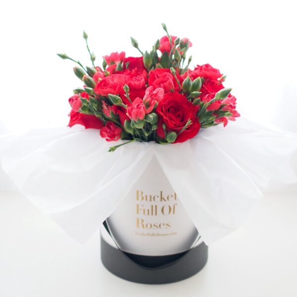 Red Mummy Bucket