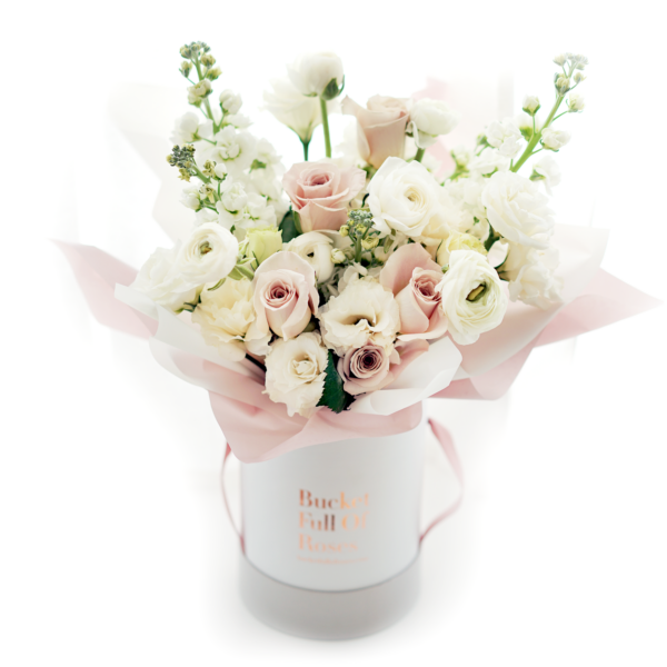 Valentine's Special - Blushing