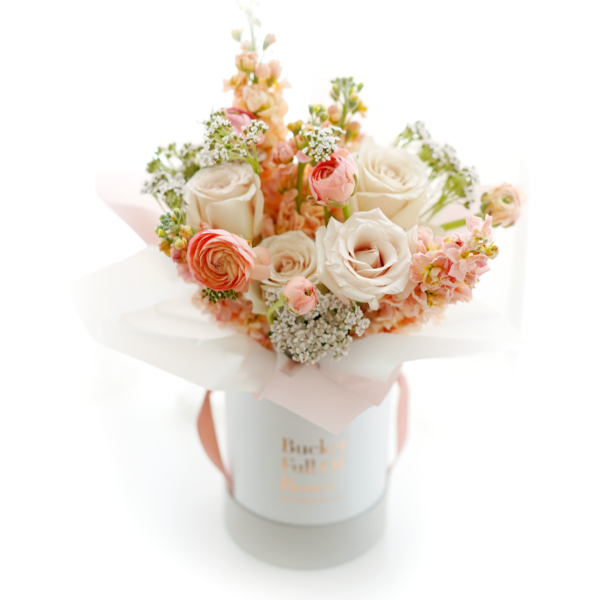 Valentine's Special - Peachy