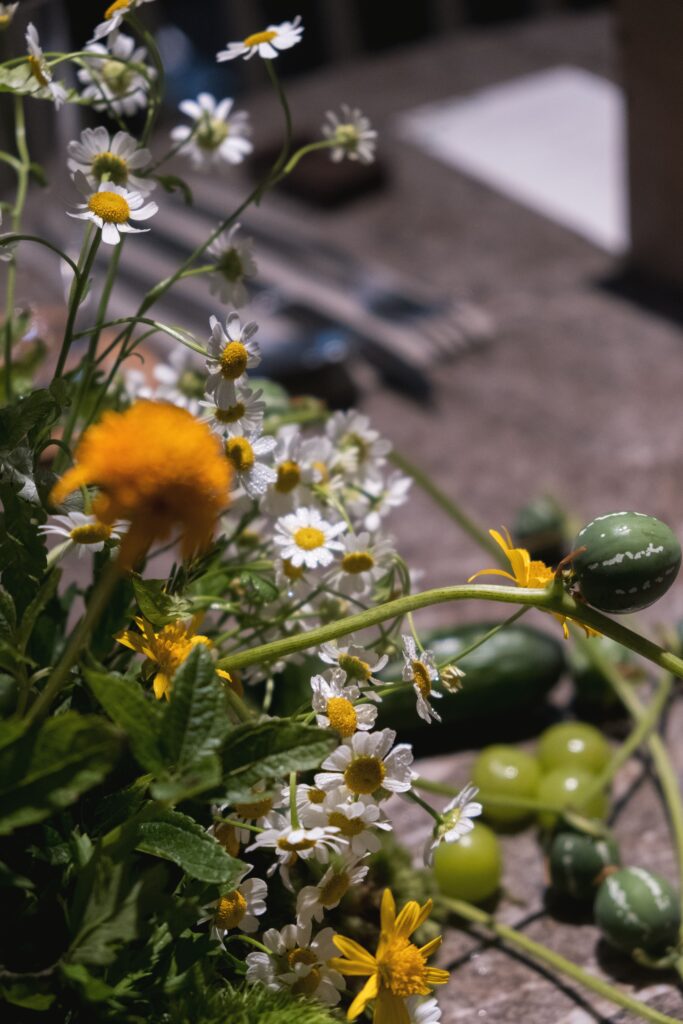 A close-up shot shows a floral centerpiece. It includes green grapes, spotted gourds, and spring onions. Wild greens are also part of the arrangement. This reflects a garden-to-table idea at Open Farm Community