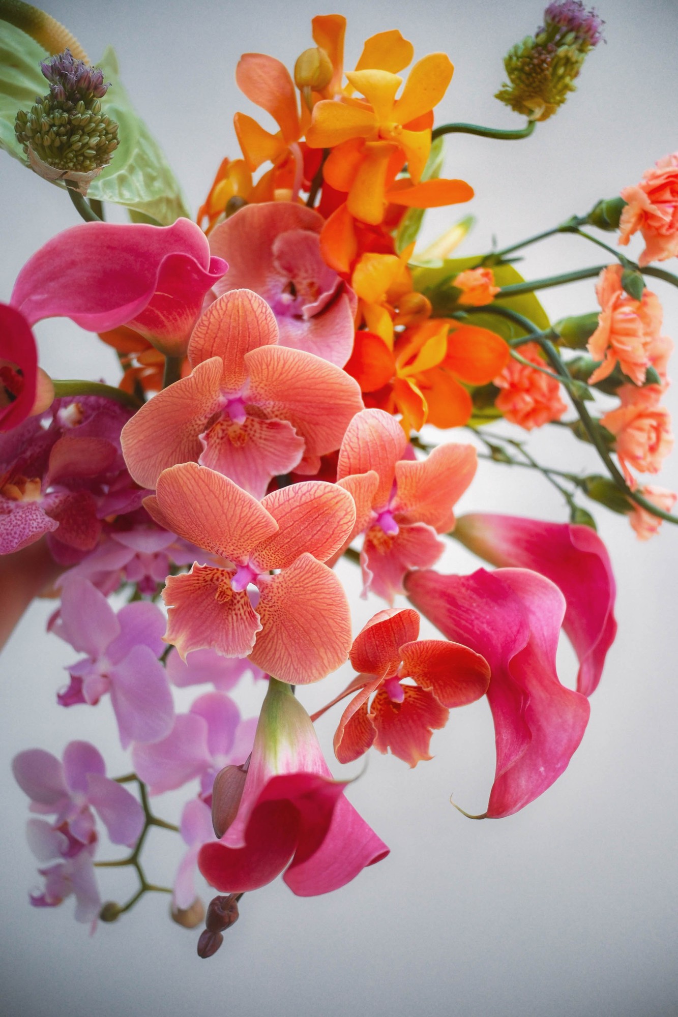Bright tropical bridal bouquet with orange mokara orchids, pink calla lilies and phalaenopsis in saturated colour, Singapore